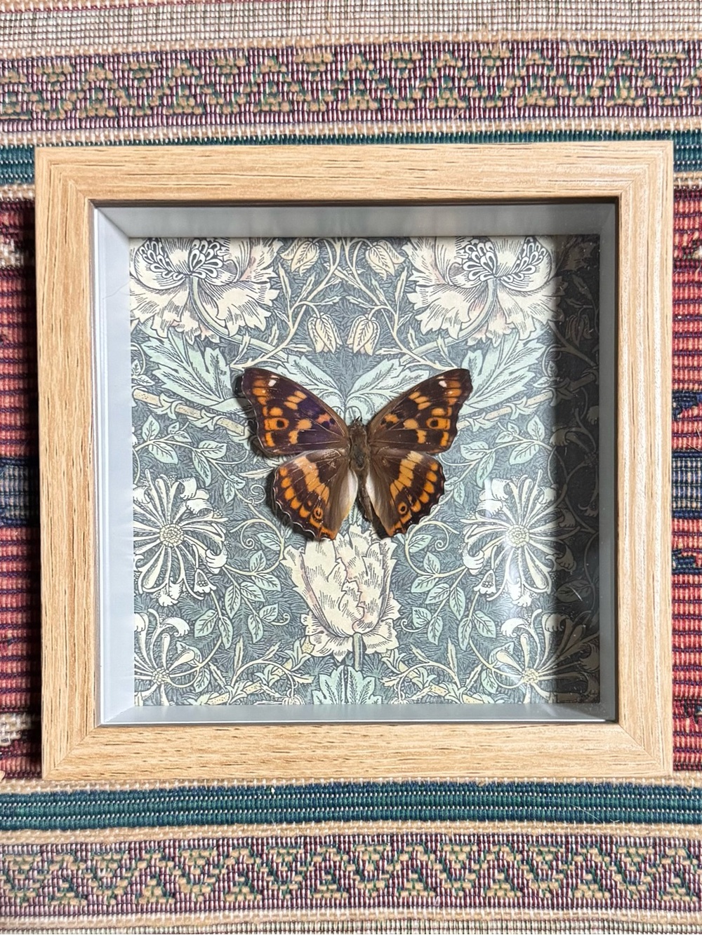 Framed Orange and Brown Butterfly Shadow Box - Home Accents